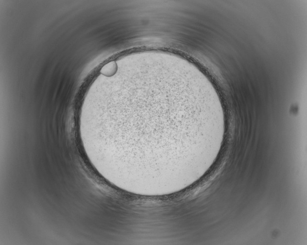 X0000116761070201001281607