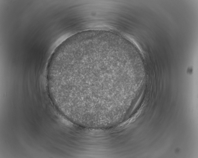 X0000116761071201001281607