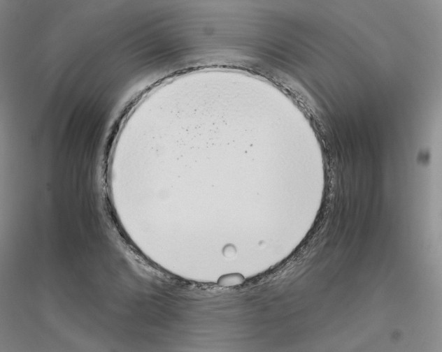 X0000116761072201001281607