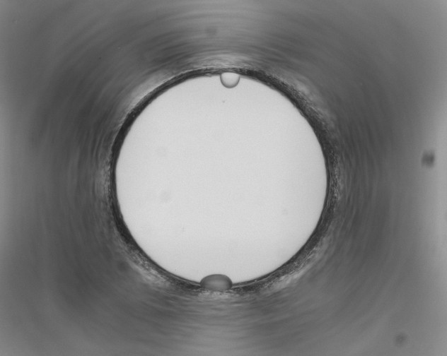 X0000116761073201001281607