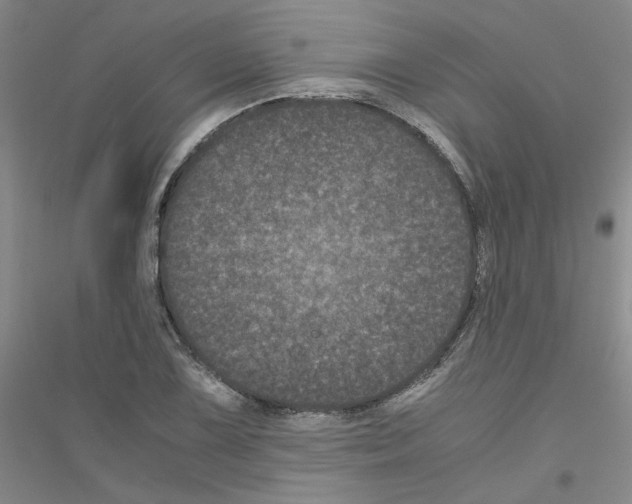 X0000116761075201001281607