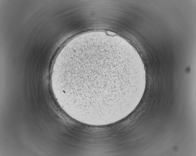 X0000116761076201001281607