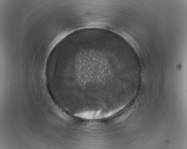 X0000116761077201001281607