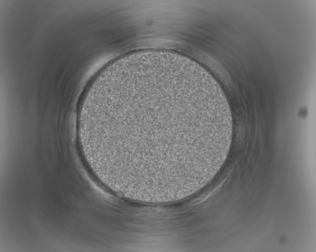 X0000116761079201001281607