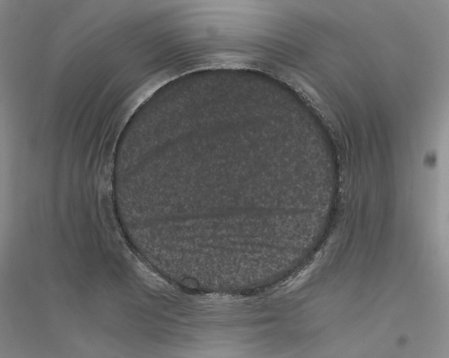 X0000116761081201001281607