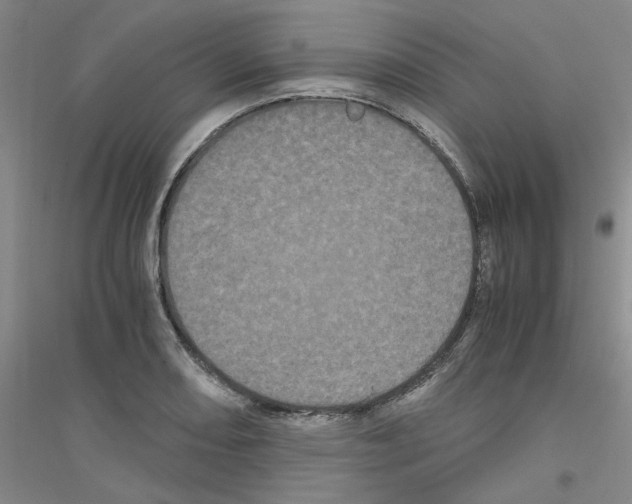 X0000116761082201001281607