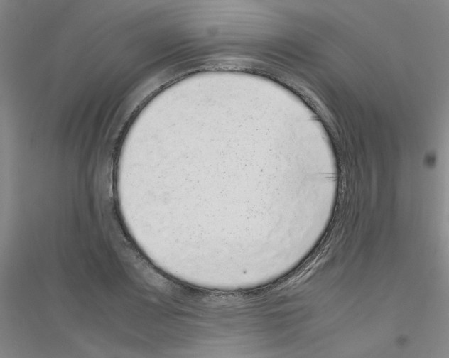 X0000116761083201001281607