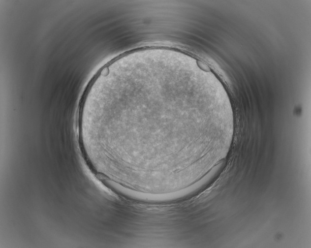 X0000116761084201001281607