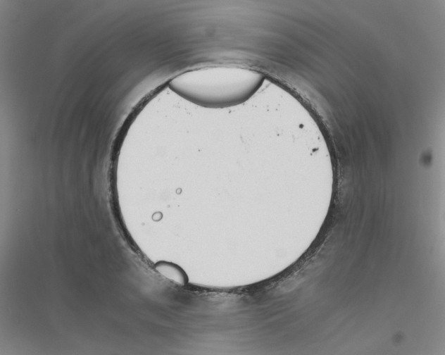 X0000116761085201001281607