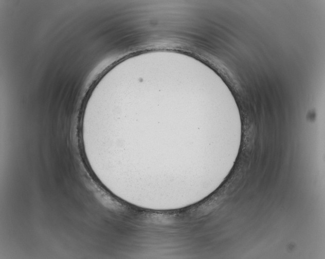 X0000116761086201001281607