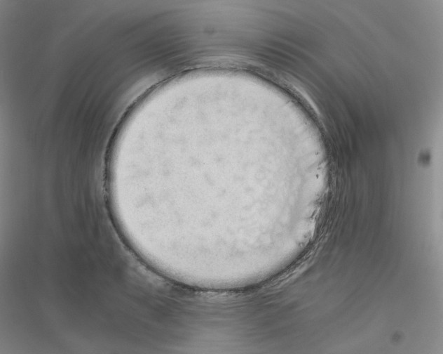 X0000116761087201001281607