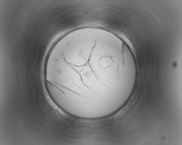 X0000116761088201001281607