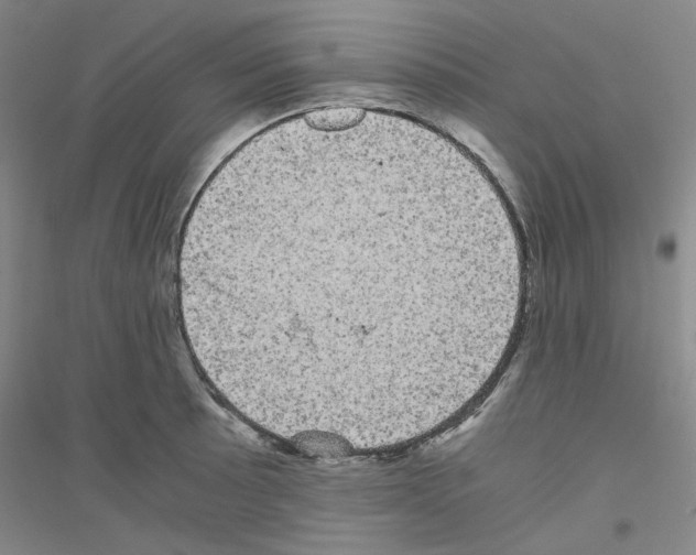 X0000116761089201001281607