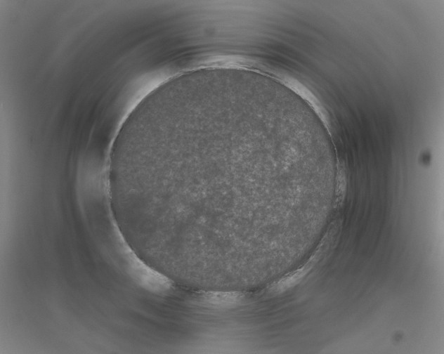 X0000116761090201001281607