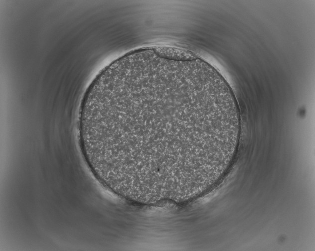 X0000116761093201001281607