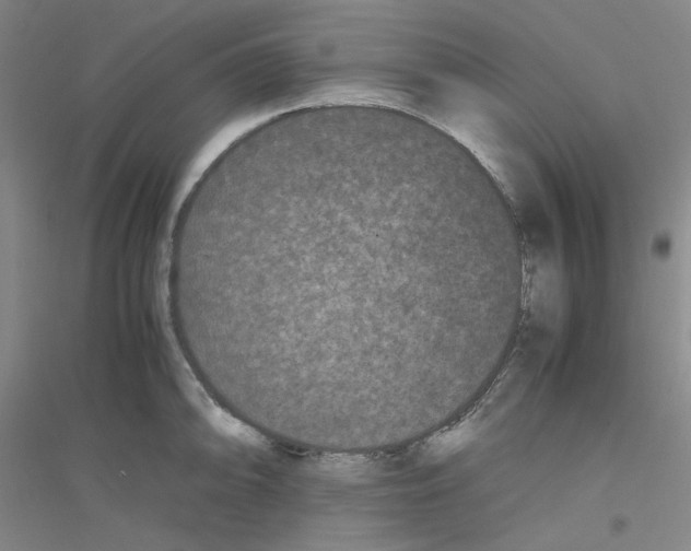 X0000116761094201001281607