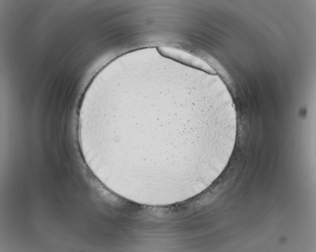 X0000116761096201001281607