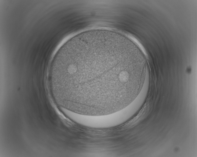 X0000116761101201001281606