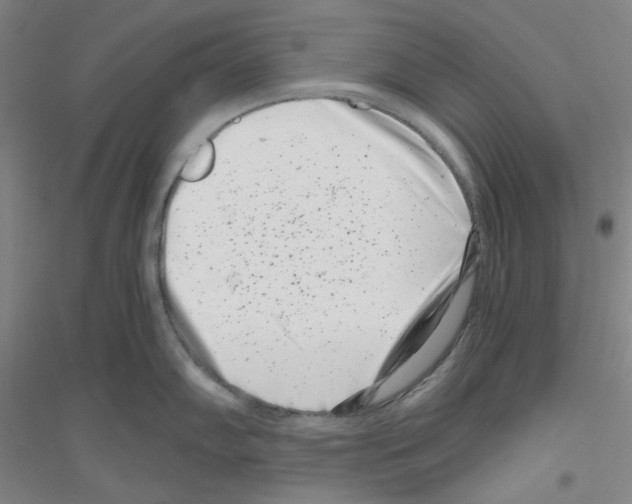 X0000116761102201001281606