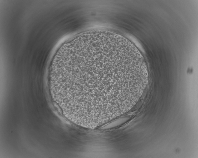 X0000116761104201001281606