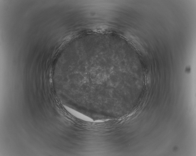 X0000116761106201001281606