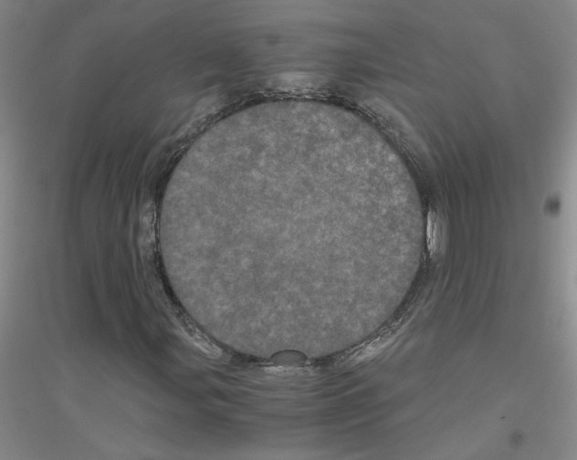 X0000116761107201001281606