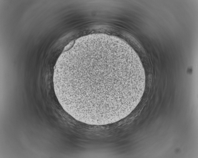 X0000116761111201001281606