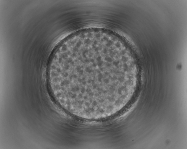 X0000116761113201001281606