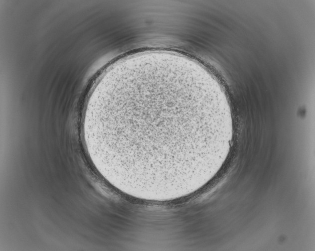 X0000116761114201001281606