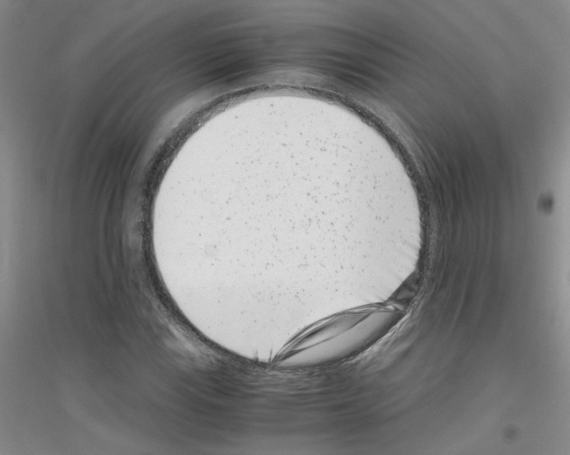 X0000116761115201001281606