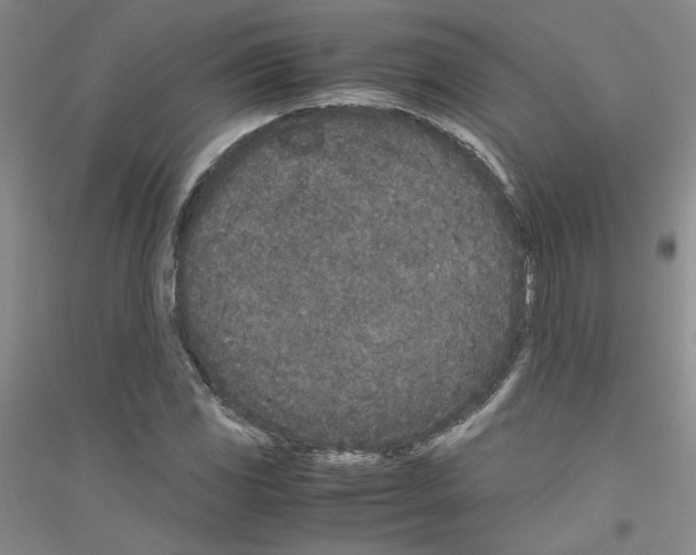 X0000116761117201001281606