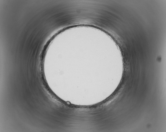 X0000116761118201001281606