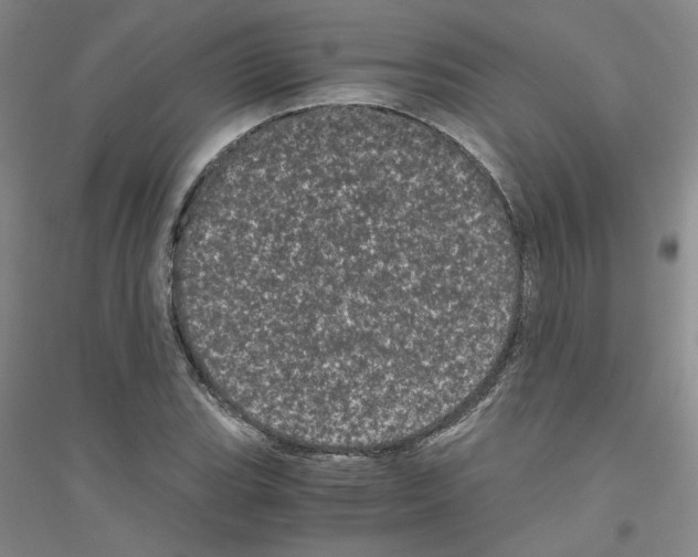 X0000116761119201001281606