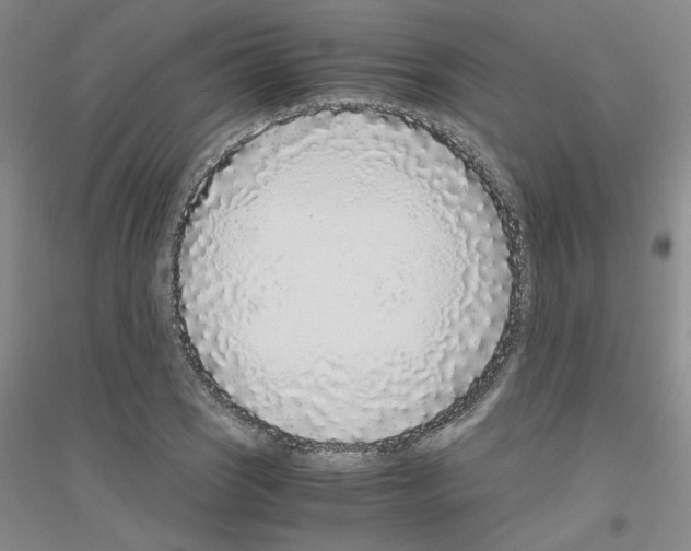 X0000116761121201001281606