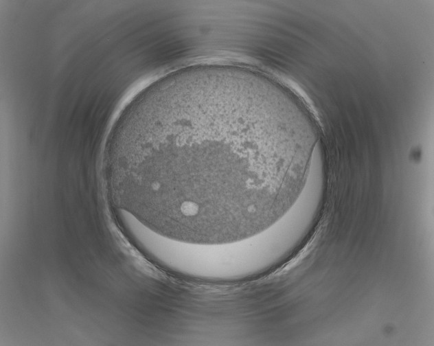 X0000116761122201001281606