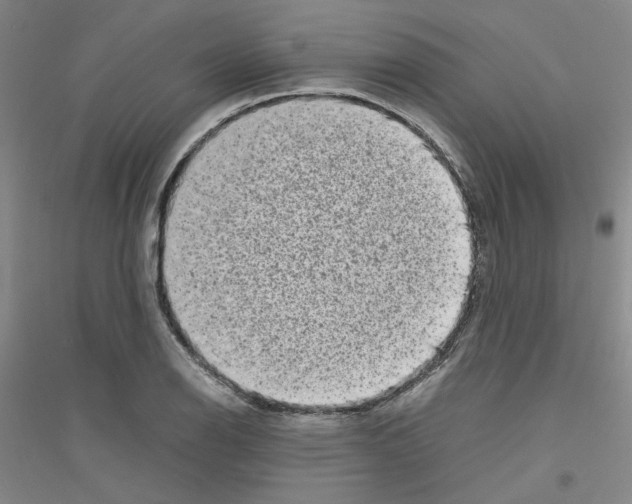 X0000116761126201001281606