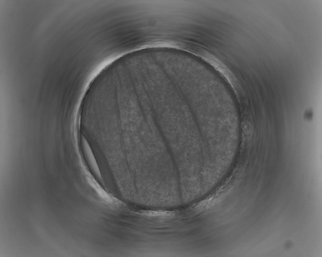 X0000116761127201001281606