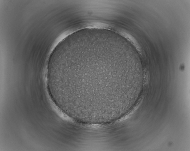 X0000116761130201001281606