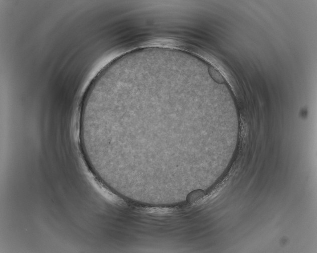 X0000116761131201001281606