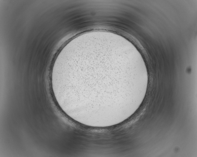 X0000116761133201001281606