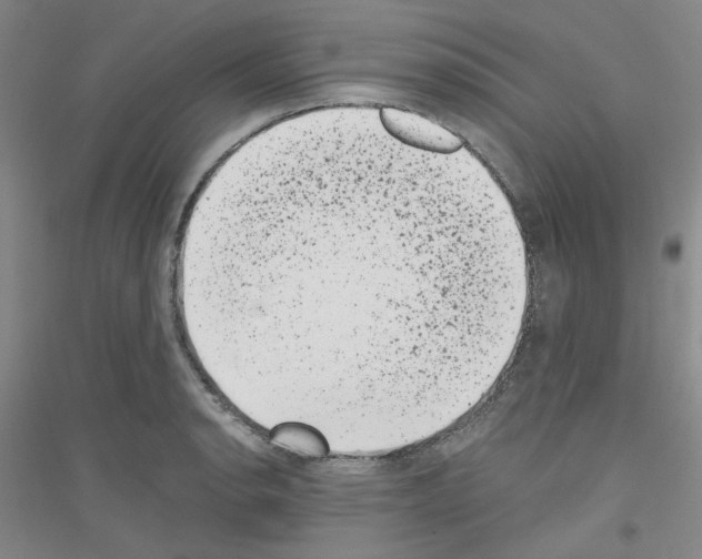 X0000116761134201001281606