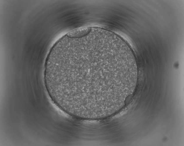 X0000116761135201001281606