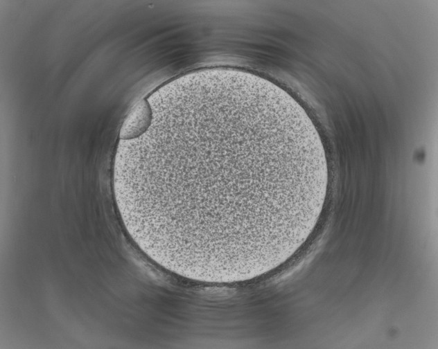 X0000116761137201001281606