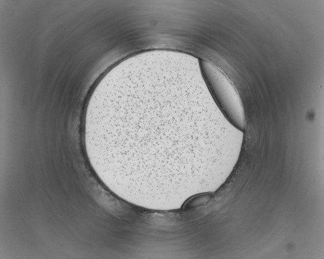 X0000116761138201001281606