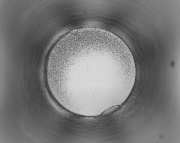 X0000116761139201001281606