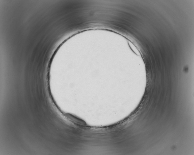 X0000116761142201001281606