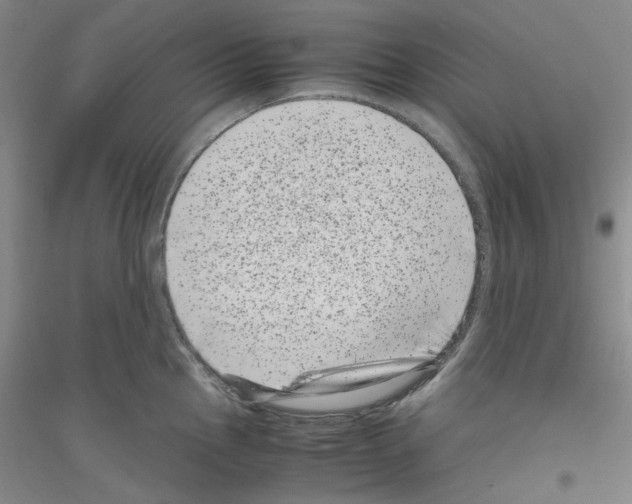 X0000116761145201001281606