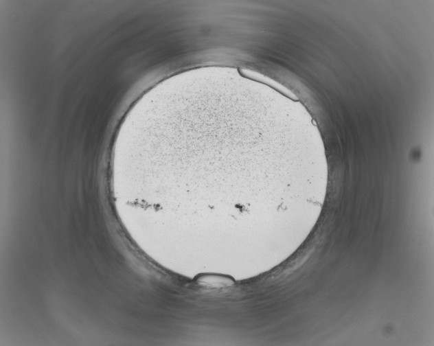 X0000116761146201001281606