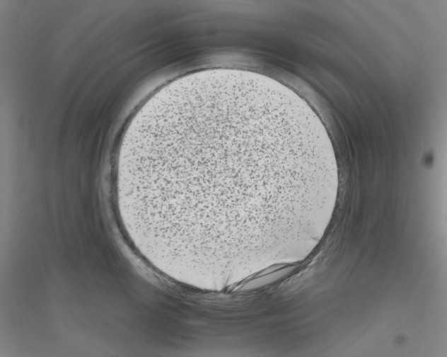 X0000116761147201001281606