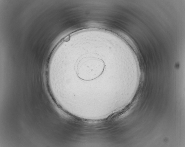 X0000116761149201001281606